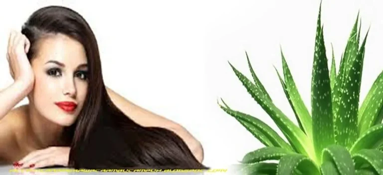 Madu dan Aloe Vera Alami untuk Rambut Sehat